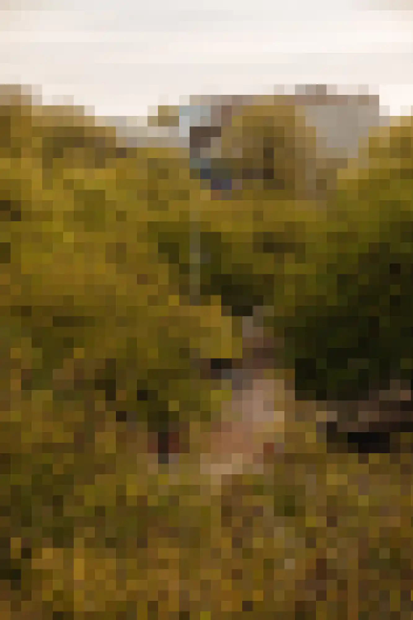 Amstelveld 11 1 Amsterdam thumbnail 28