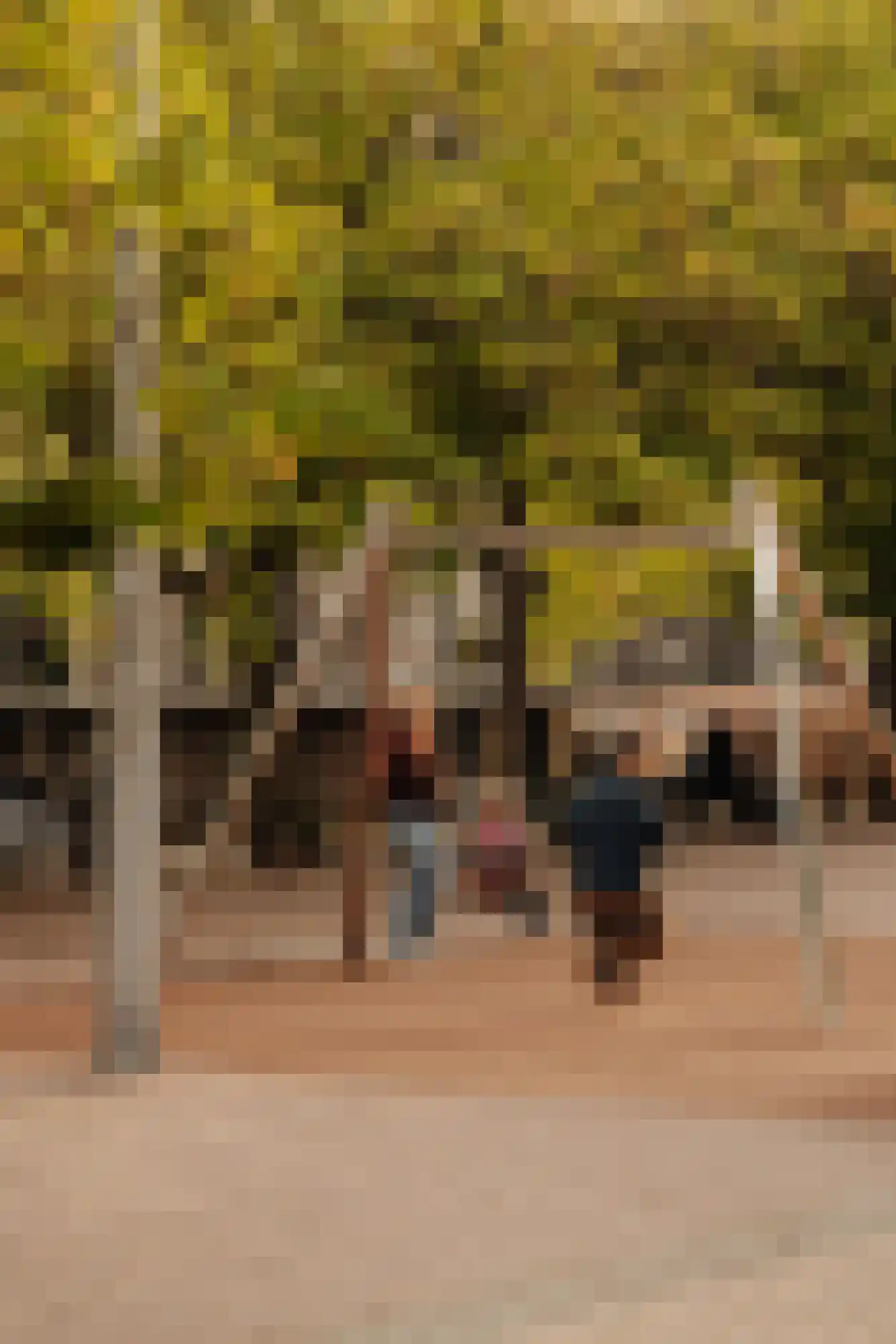 Amstelveld 11 1 Amsterdam thumbnail 30