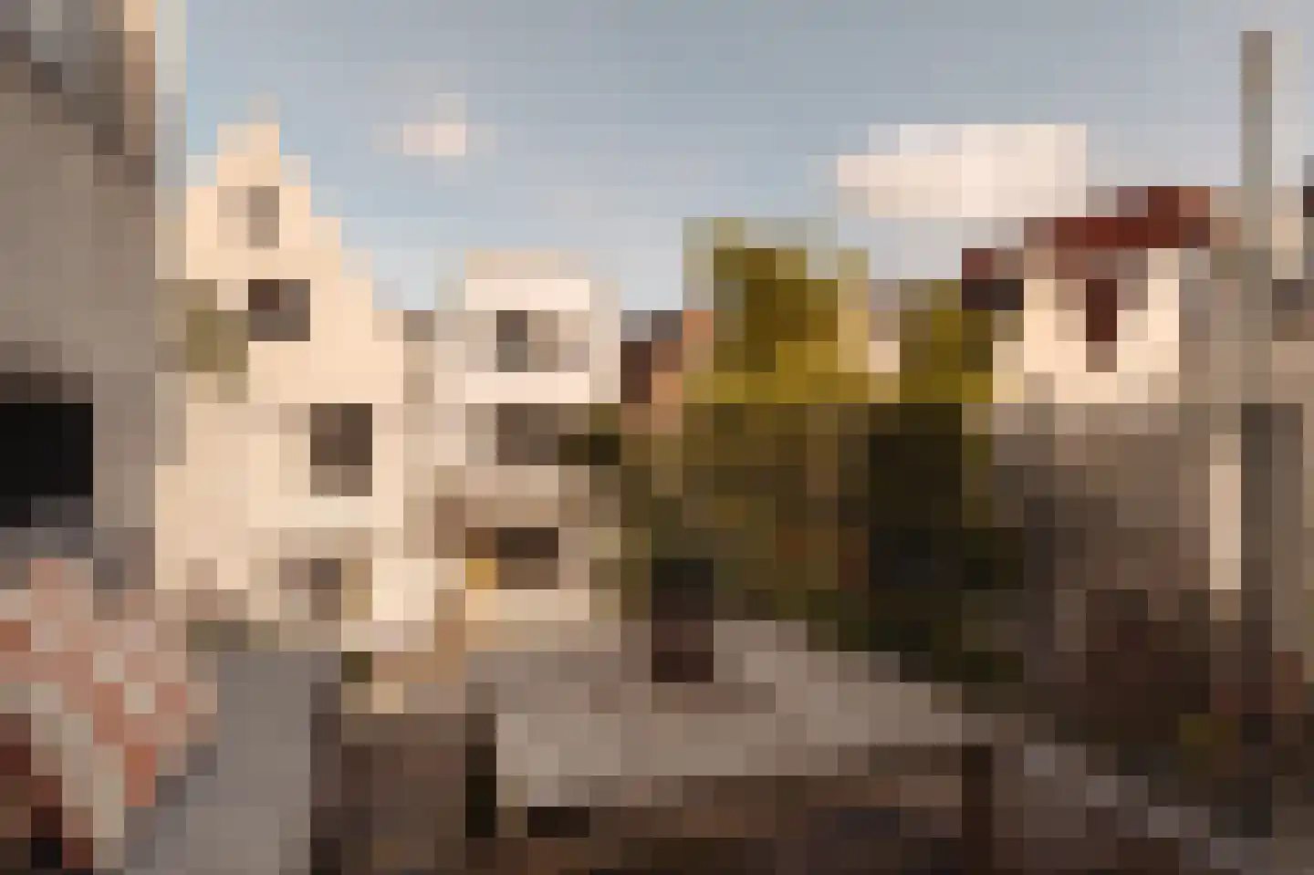 Amstelveld 11 1 Amsterdam thumbnail 5