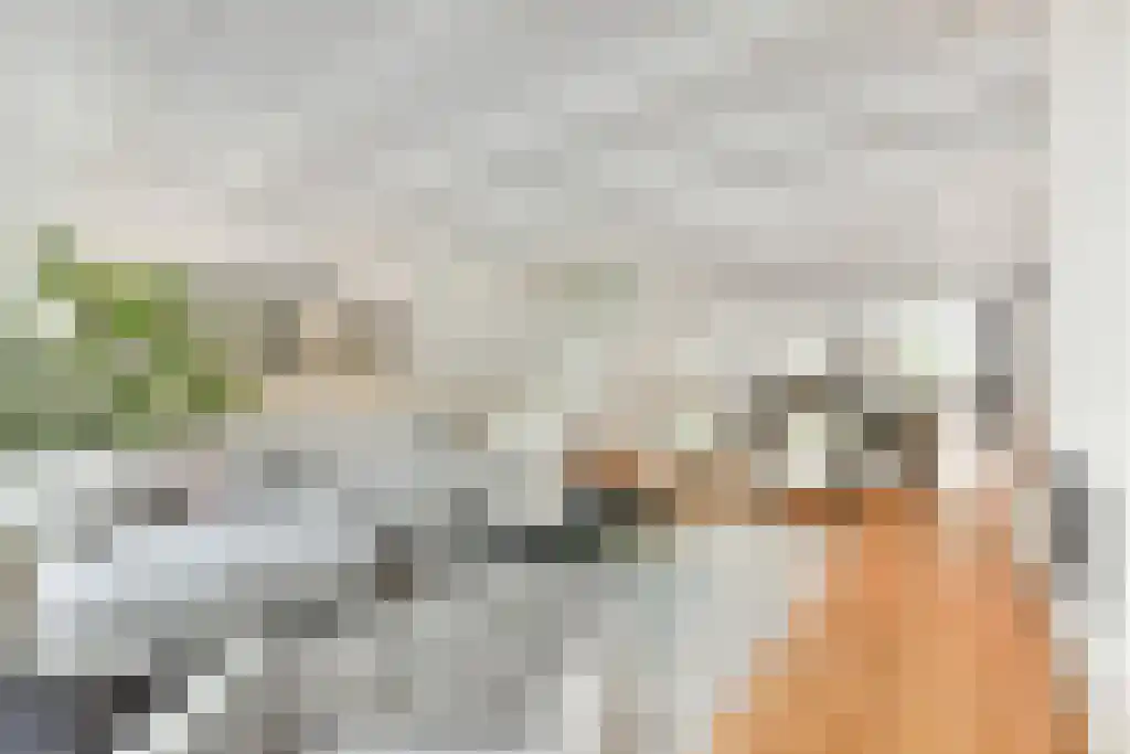 Amstelveld 11 1 Amsterdam thumbnail 6