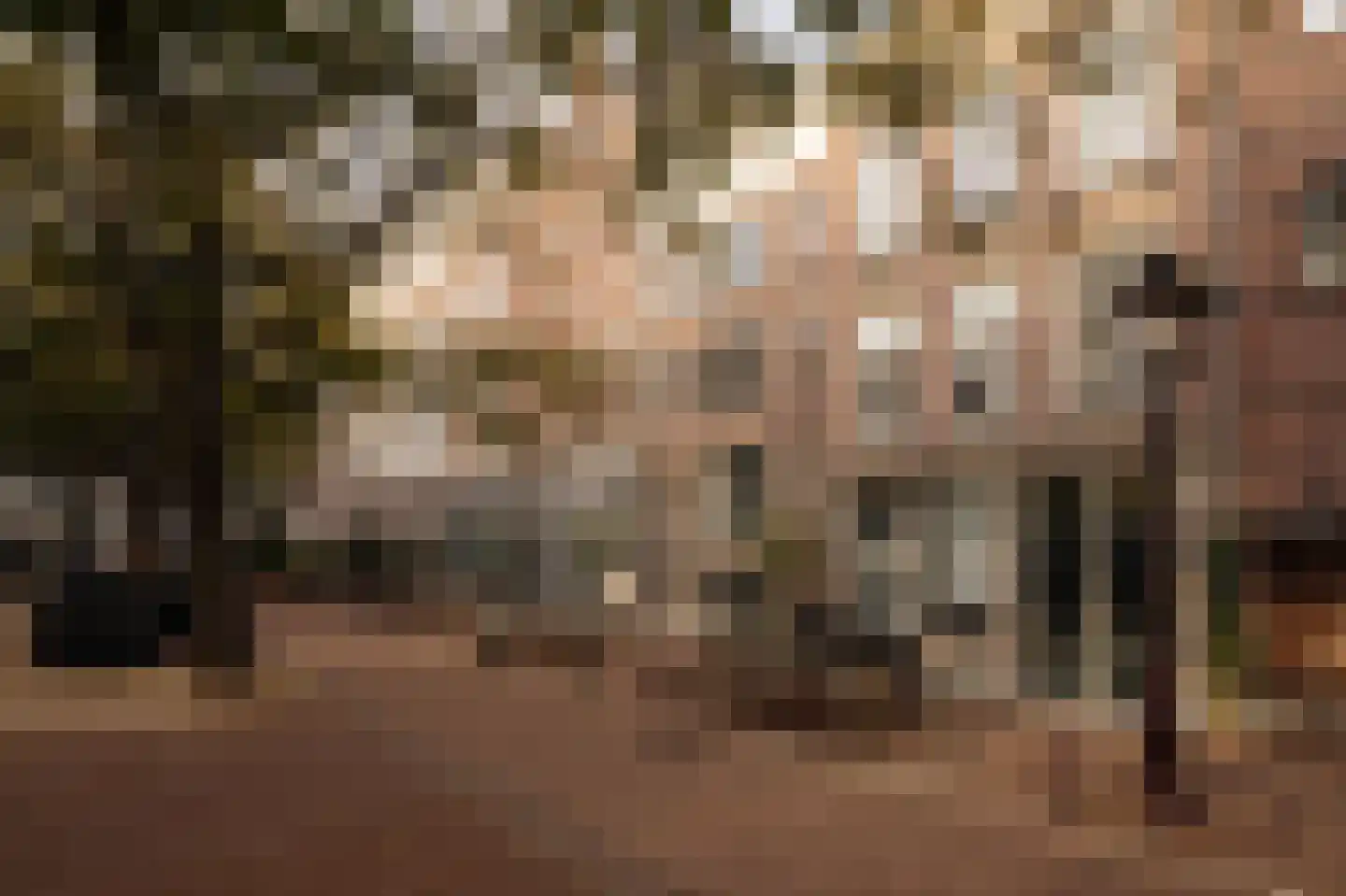 Amstelveld 11 1 Amsterdam thumbnail 6