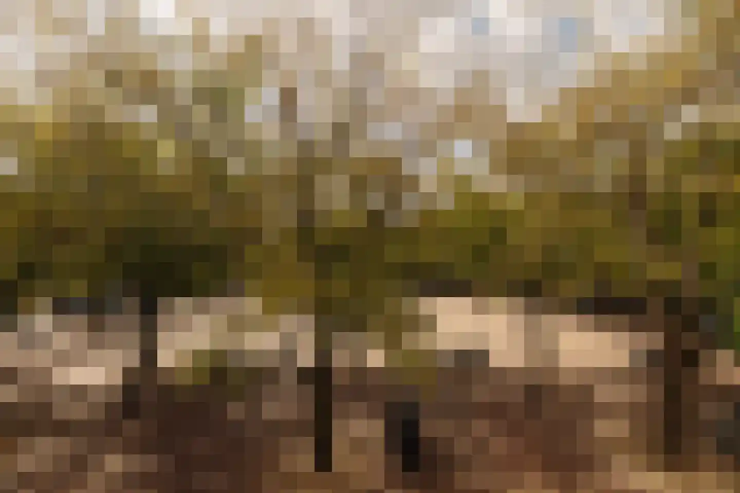 Amstelveld 11 1 Amsterdam thumbnail 8