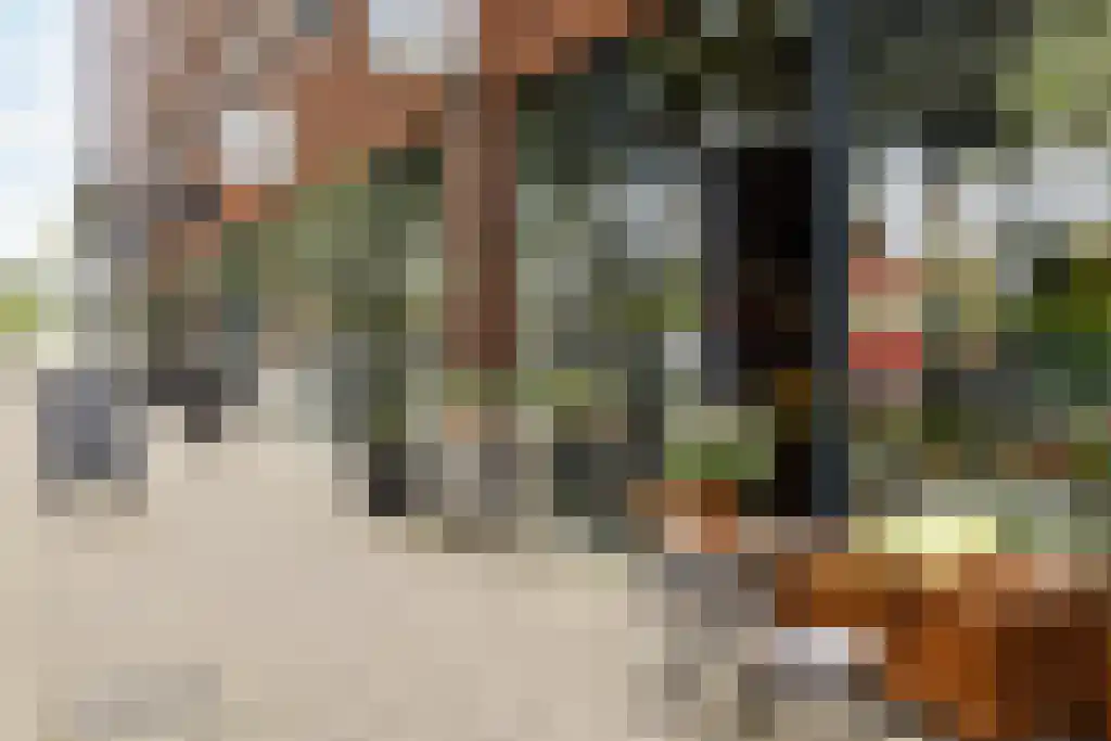 Amstelvlietstraat 169 Amsterdam thumbnail 38