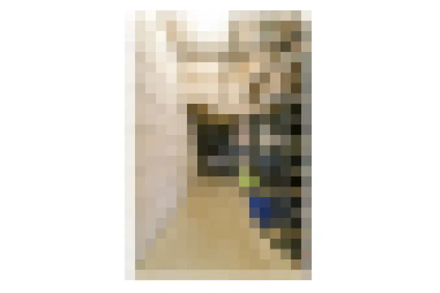 Amstelvlietstraat 243 Amsterdam thumbnail 23