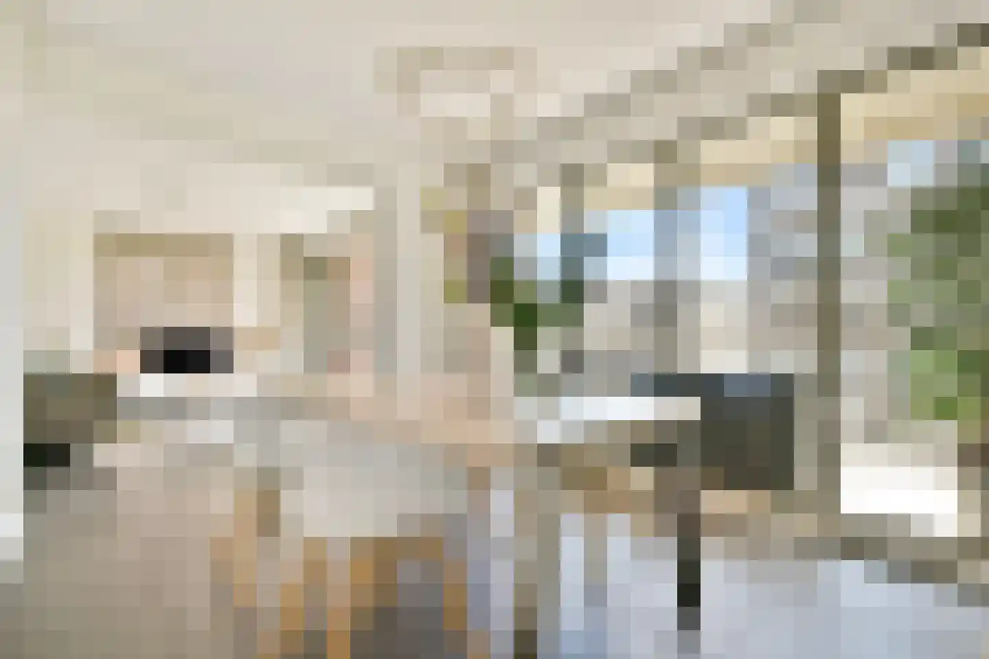 Amstelvlietstraat 243 Amsterdam thumbnail 6