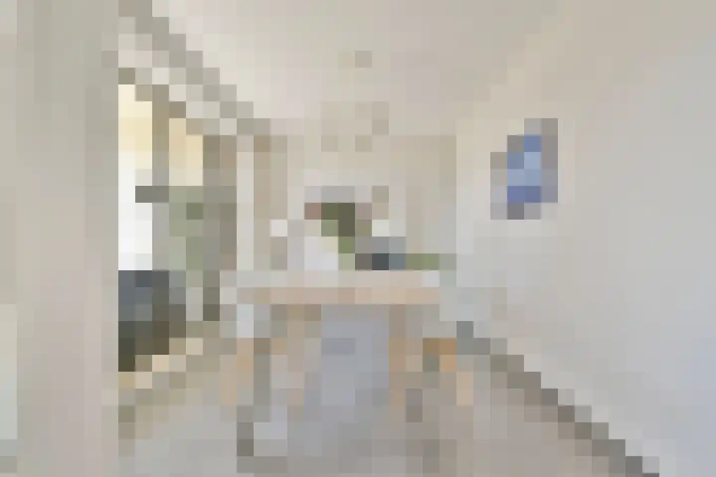Amstelvlietstraat 243 Amsterdam thumbnail 7