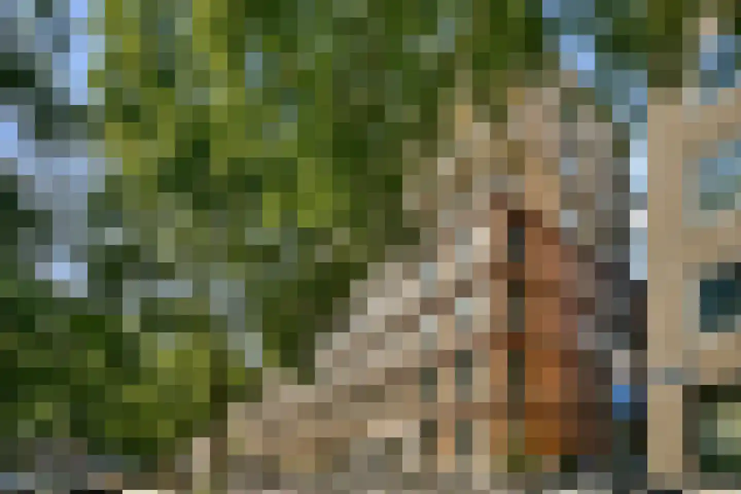 Amstelvlietstraat 347 Amsterdam thumbnail 6