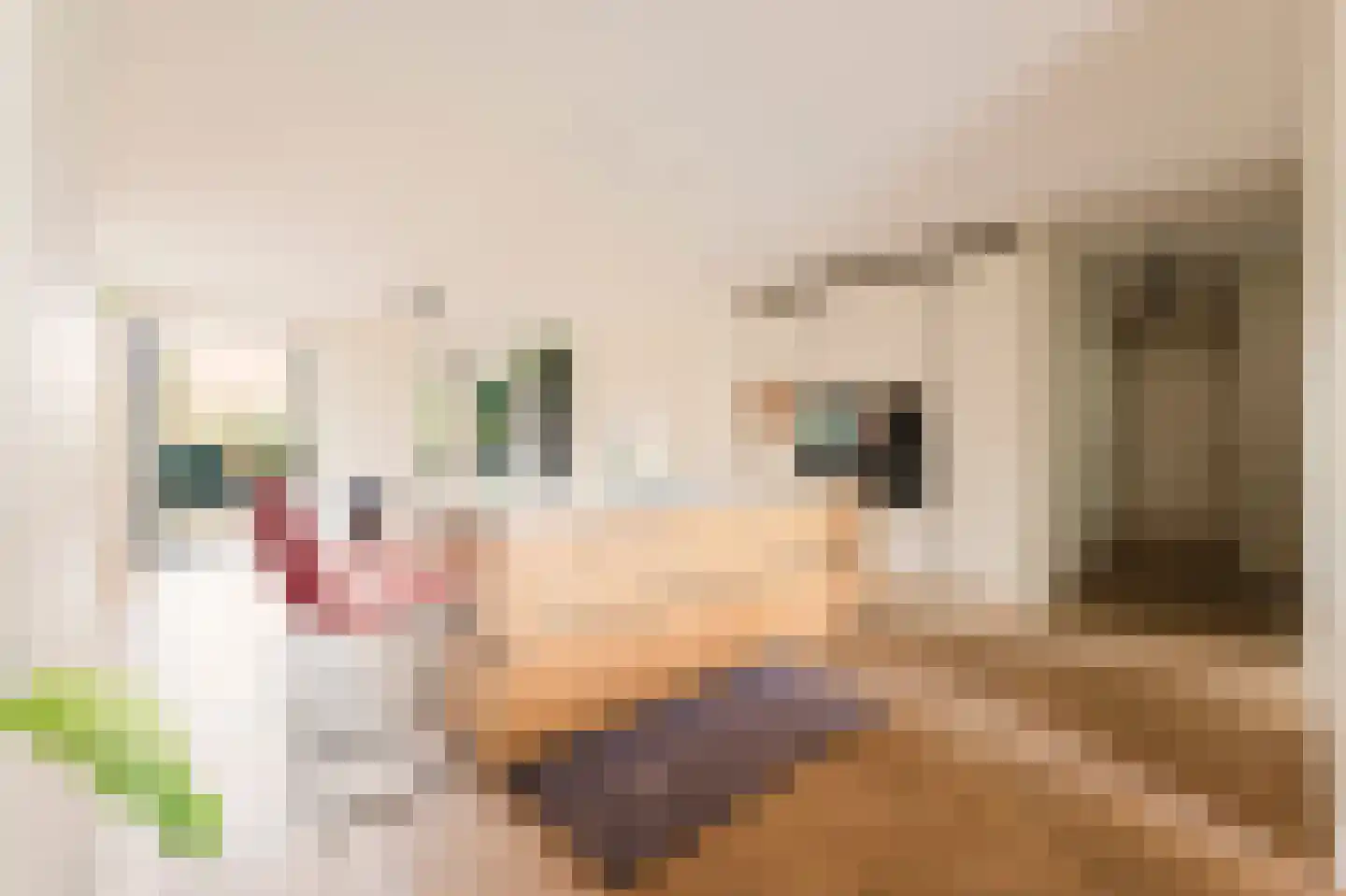 Amstelvlietstraat 573 Amsterdam thumbnail 4