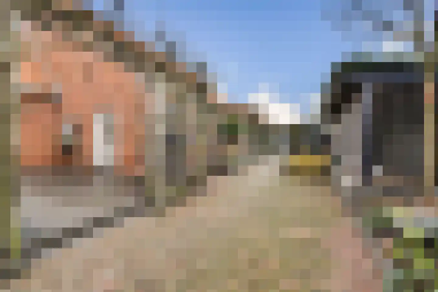 Amstelwijckweg 52 Dordrecht thumbnail 33