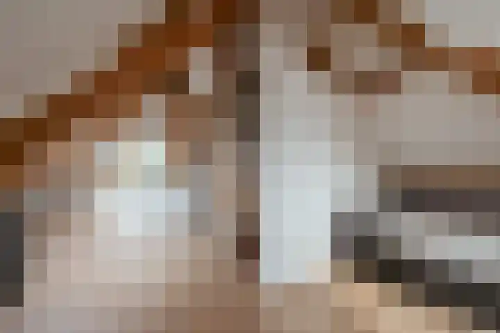 Amstelzijde 40 Amstelveen thumbnail 36