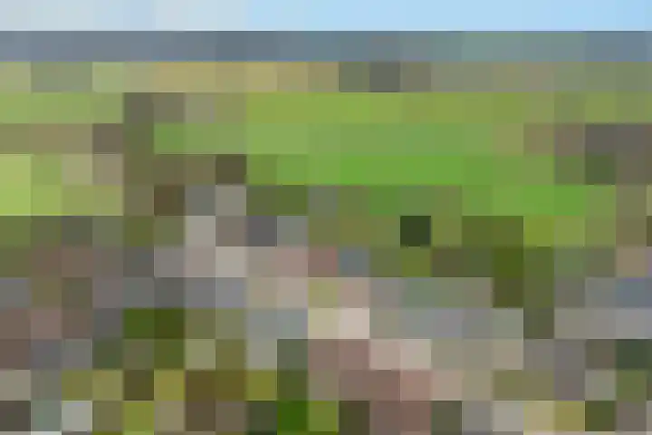 Amstenraderweg 20 Merkelbeek thumbnail 31