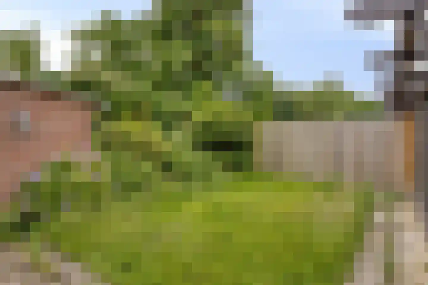 Amstenraderweg 70 Hoensbroek thumbnail 34