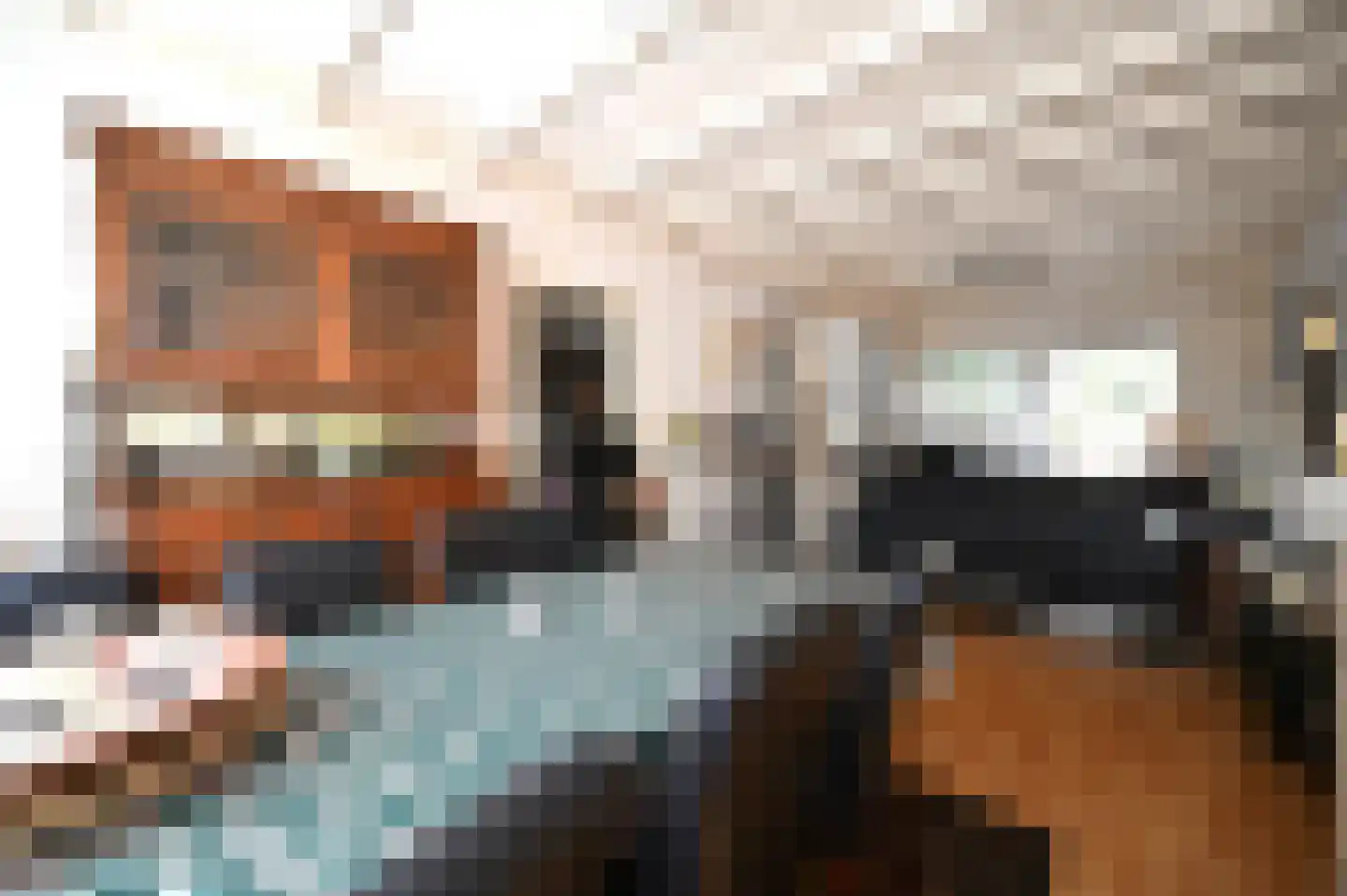 Amstenraderweg 93 Hoensbroek thumbnail 9