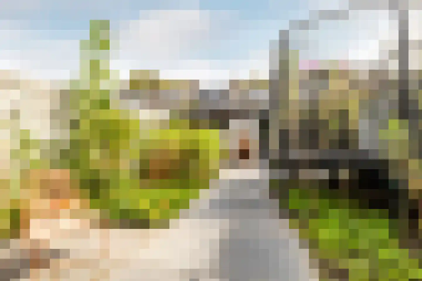 Amstenradestraat 17 Breda thumbnail 28