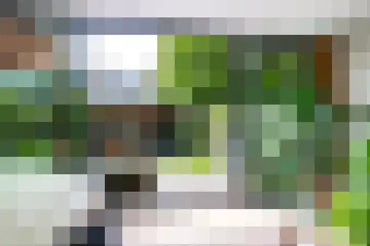 Amstenradestraat 22 Breda thumbnail 18