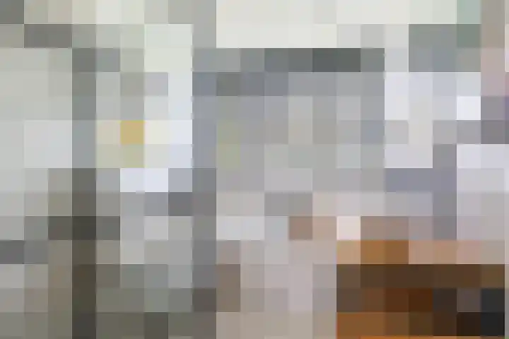 Amstenradestraat 22 Breda thumbnail 32