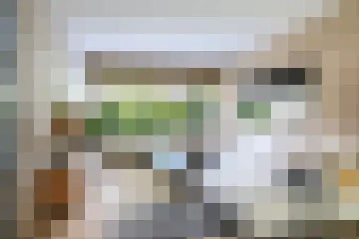 Amstenradestraat 22 Breda thumbnail 6