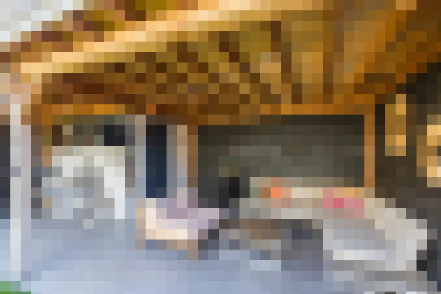 Amstenradestraat 4 Breda thumbnail 26