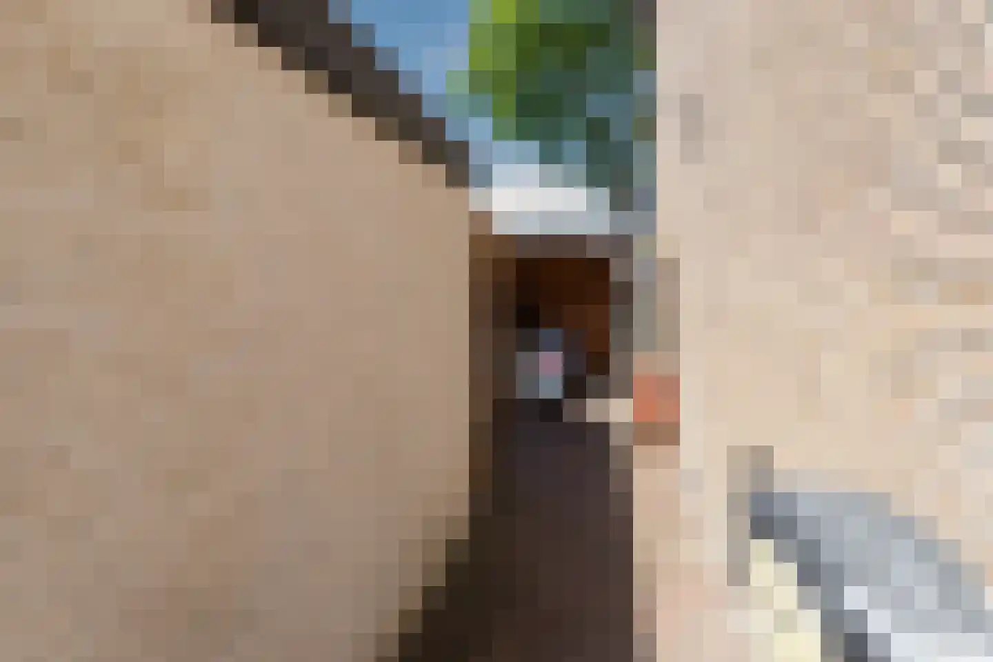 Amstenradestraat 4 Breda thumbnail 33