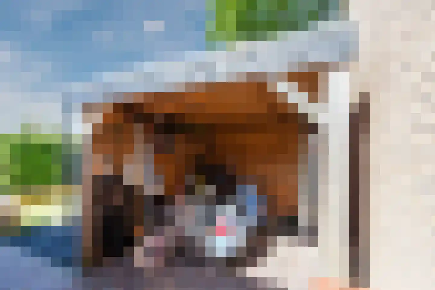 Amstenradestraat 4 Breda thumbnail 34