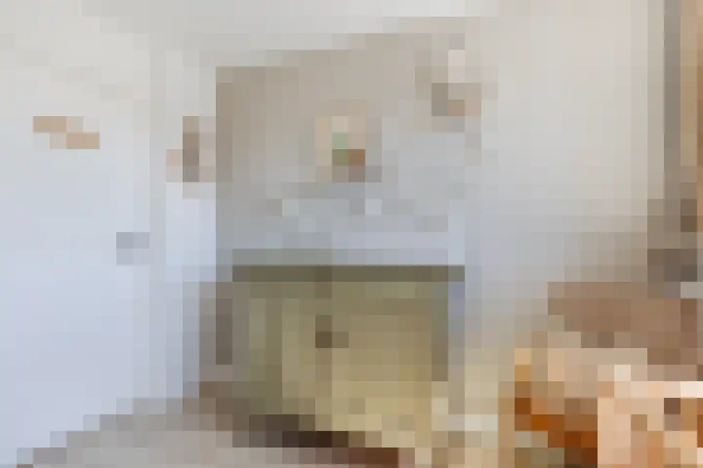 Amstenradestraat 4 Breda thumbnail 45