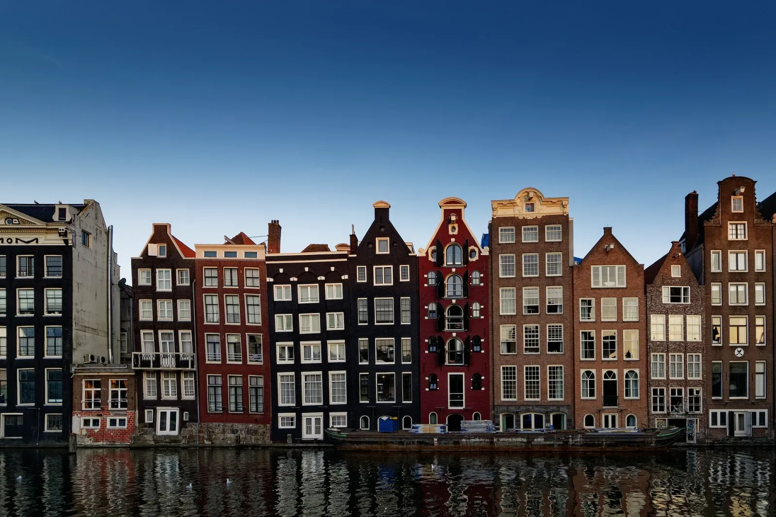 Team foto van Amsterdam Property Renting