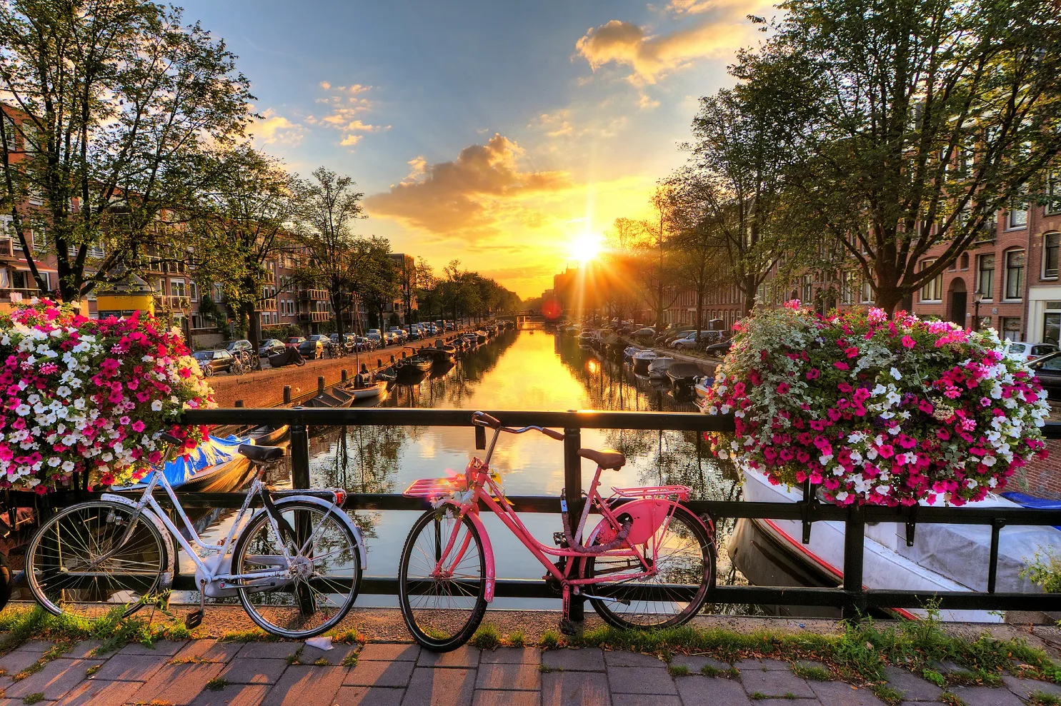 Team photo of Amsterdam Property Sales