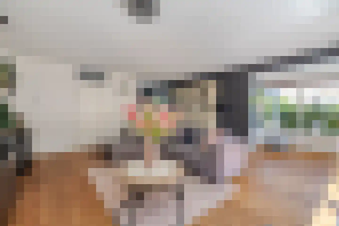 Amsterdamlaan 15 Woerden thumbnail 10