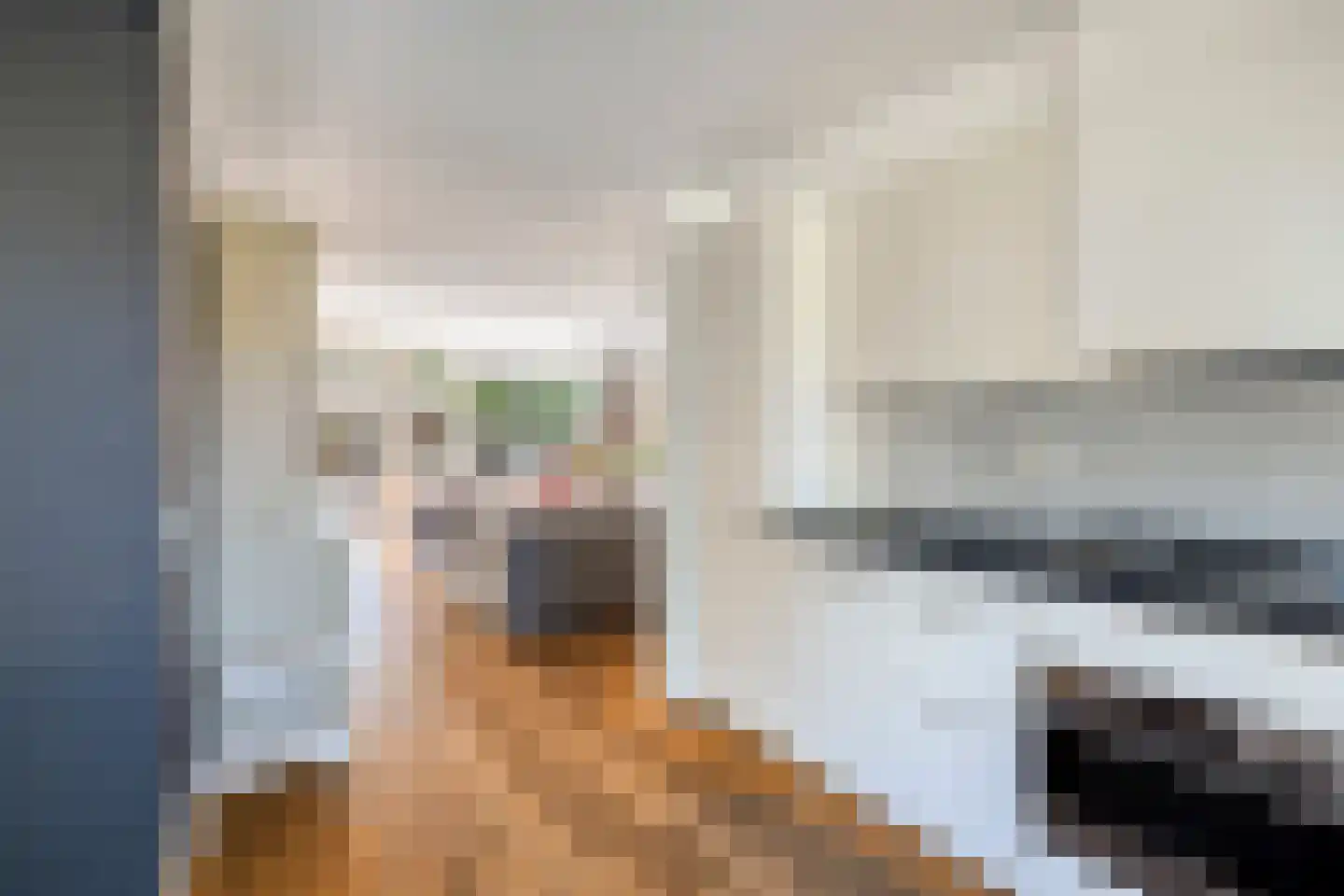 Amsterdamlaan 15 Woerden thumbnail 14