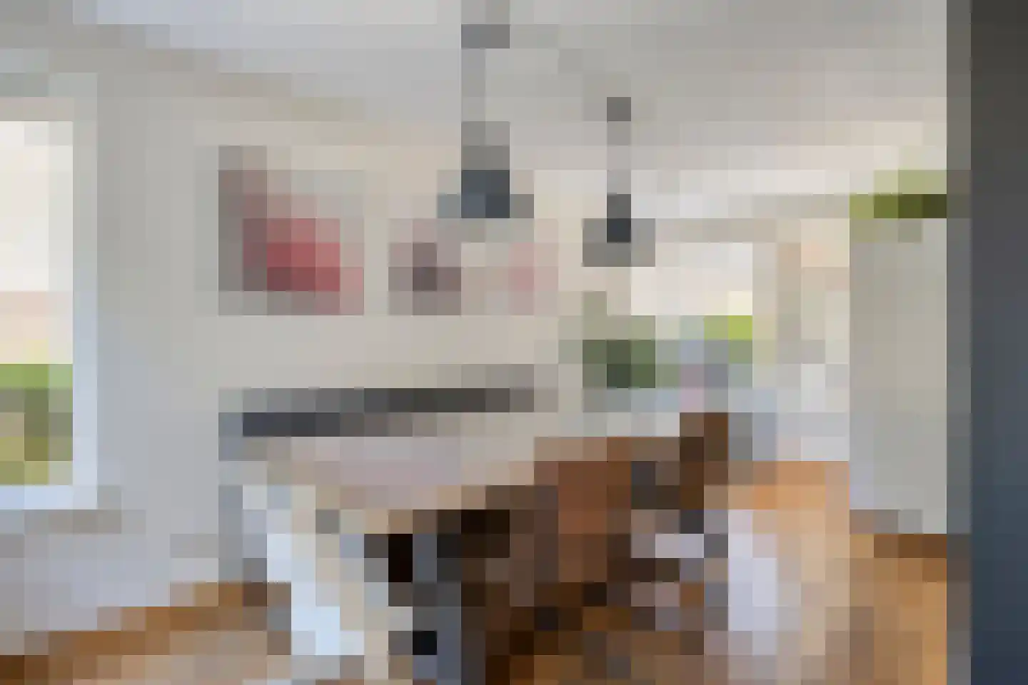 Amsterdamlaan 15 Woerden thumbnail 18