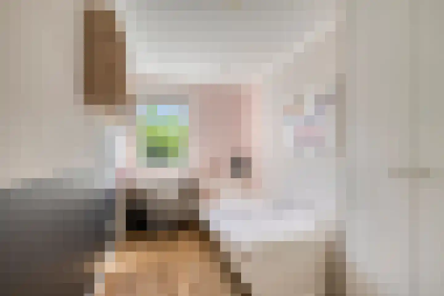 Amsterdamlaan 15 Woerden thumbnail 23