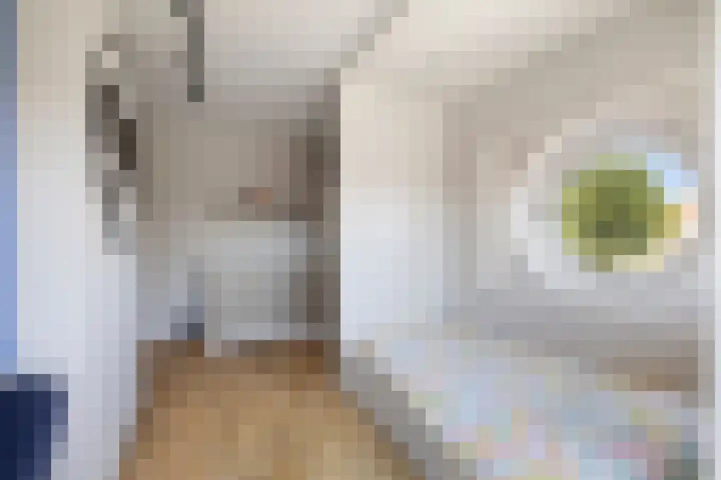 Amsterdamlaan 15 Woerden thumbnail 40