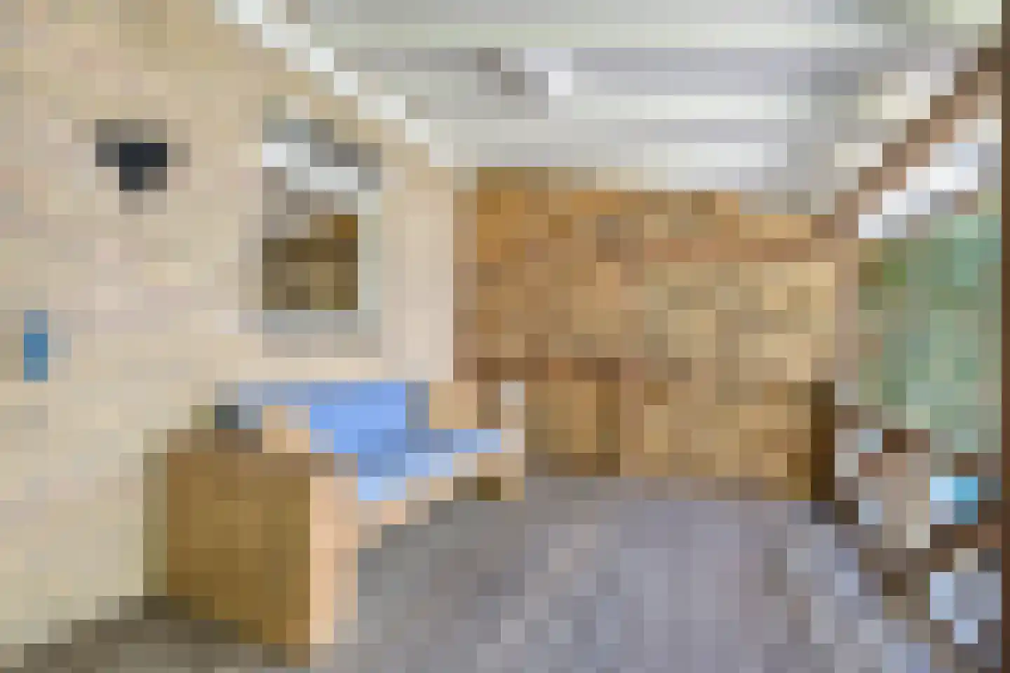 Amsterdamlaan 15 Woerden thumbnail 48