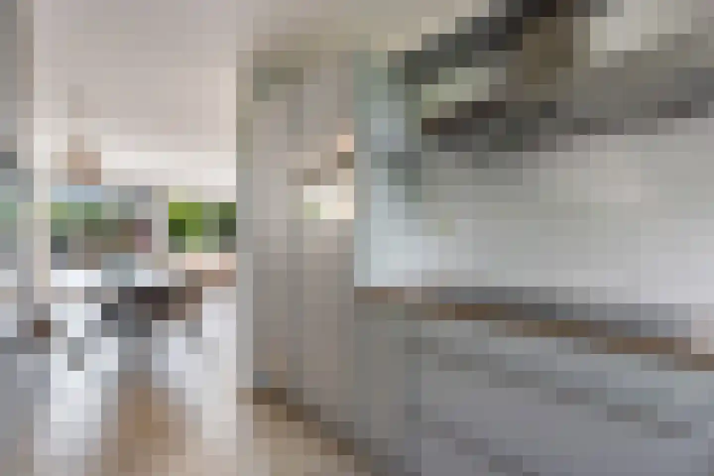 Amsterdamlaan 69 Woerden thumbnail 12