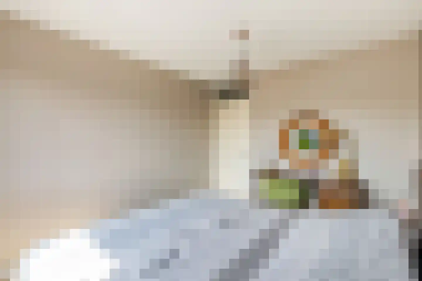 Amsterdamlaan 69 Woerden thumbnail 26