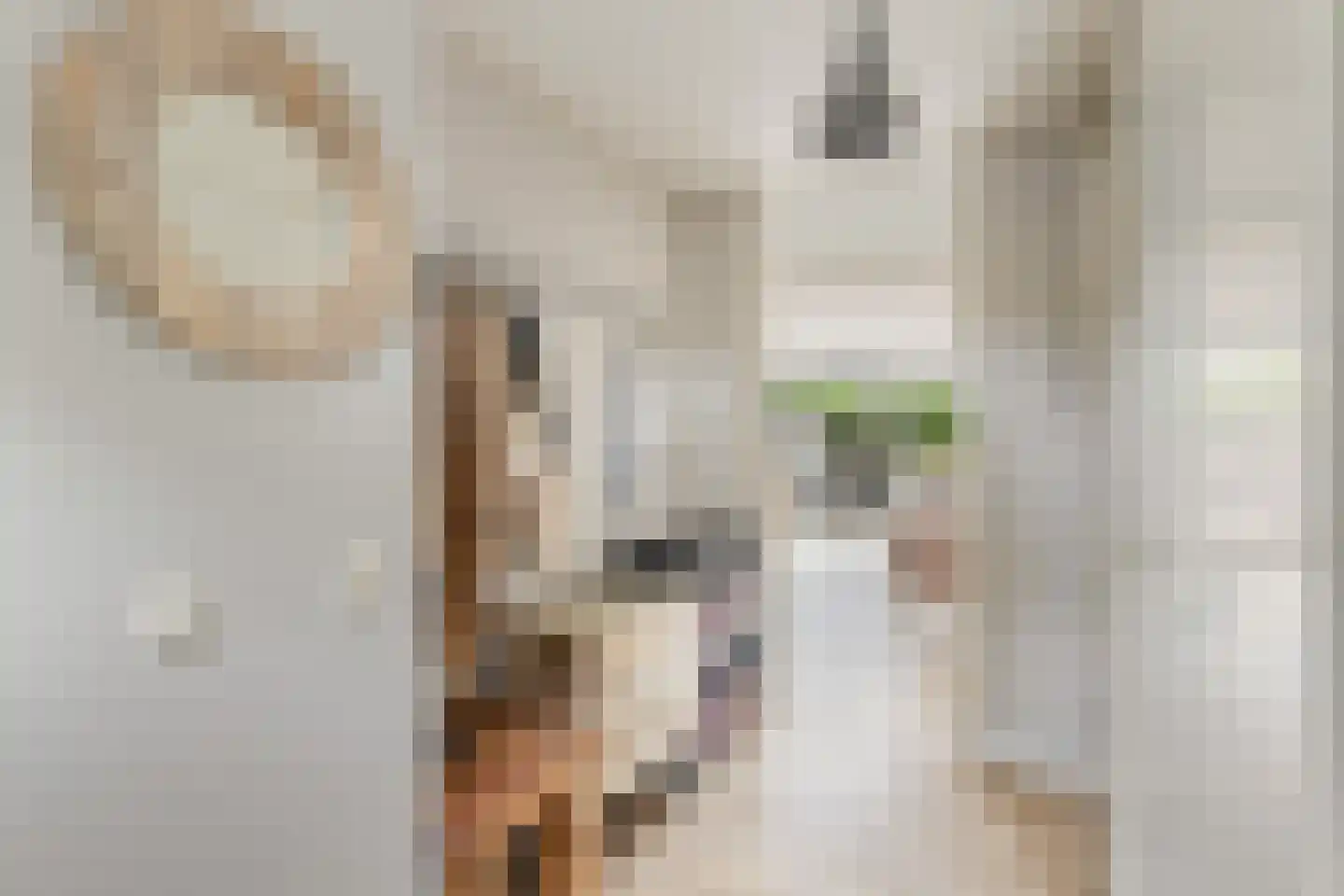 Amsterdamlaan 69 Woerden thumbnail 4