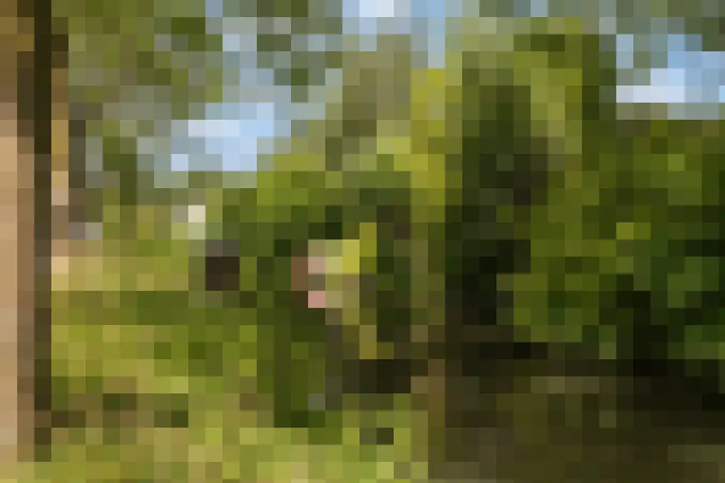 Amsterdamlaan 69 Woerden thumbnail 47