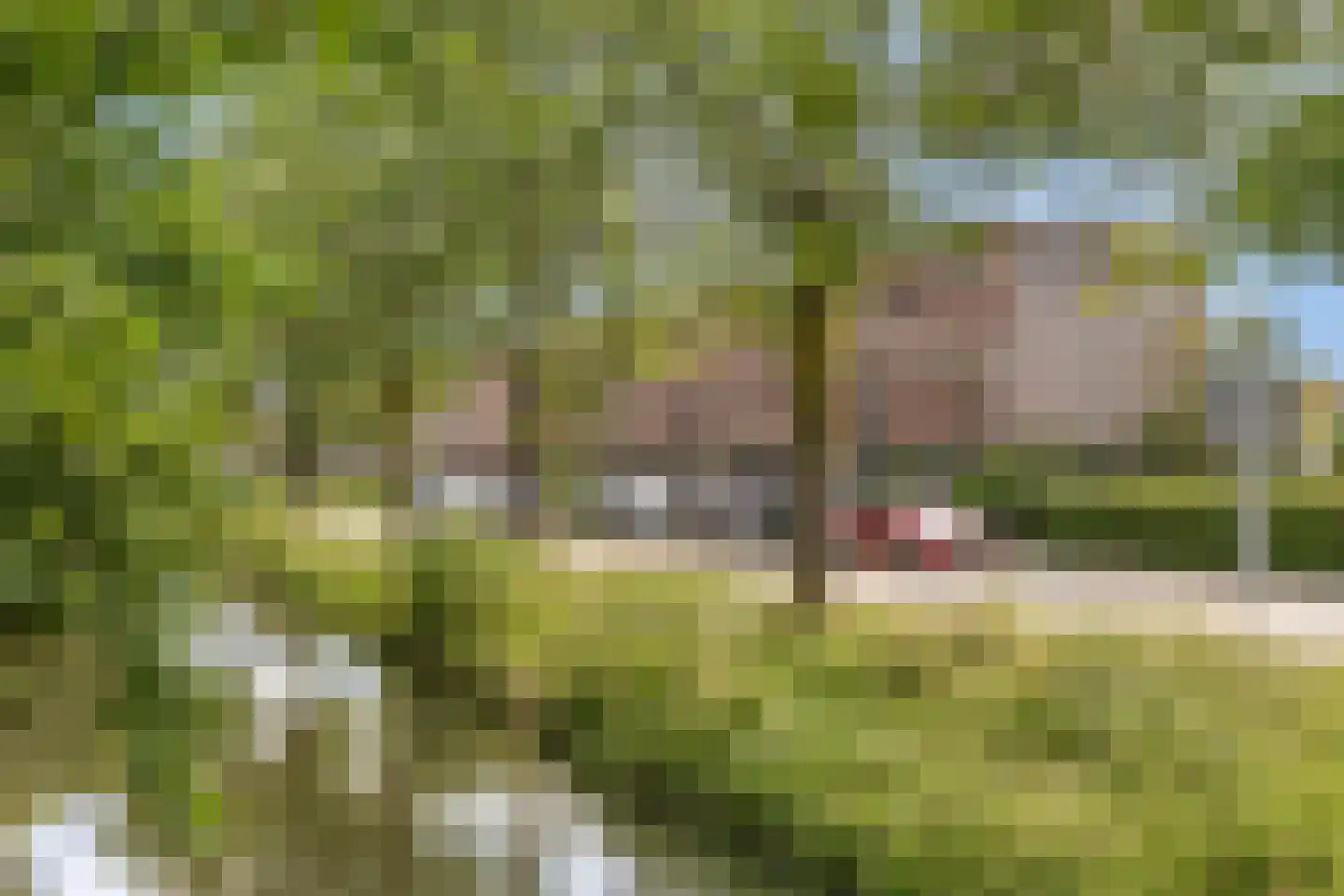 Amsterdamlaan 69 Woerden thumbnail 50
