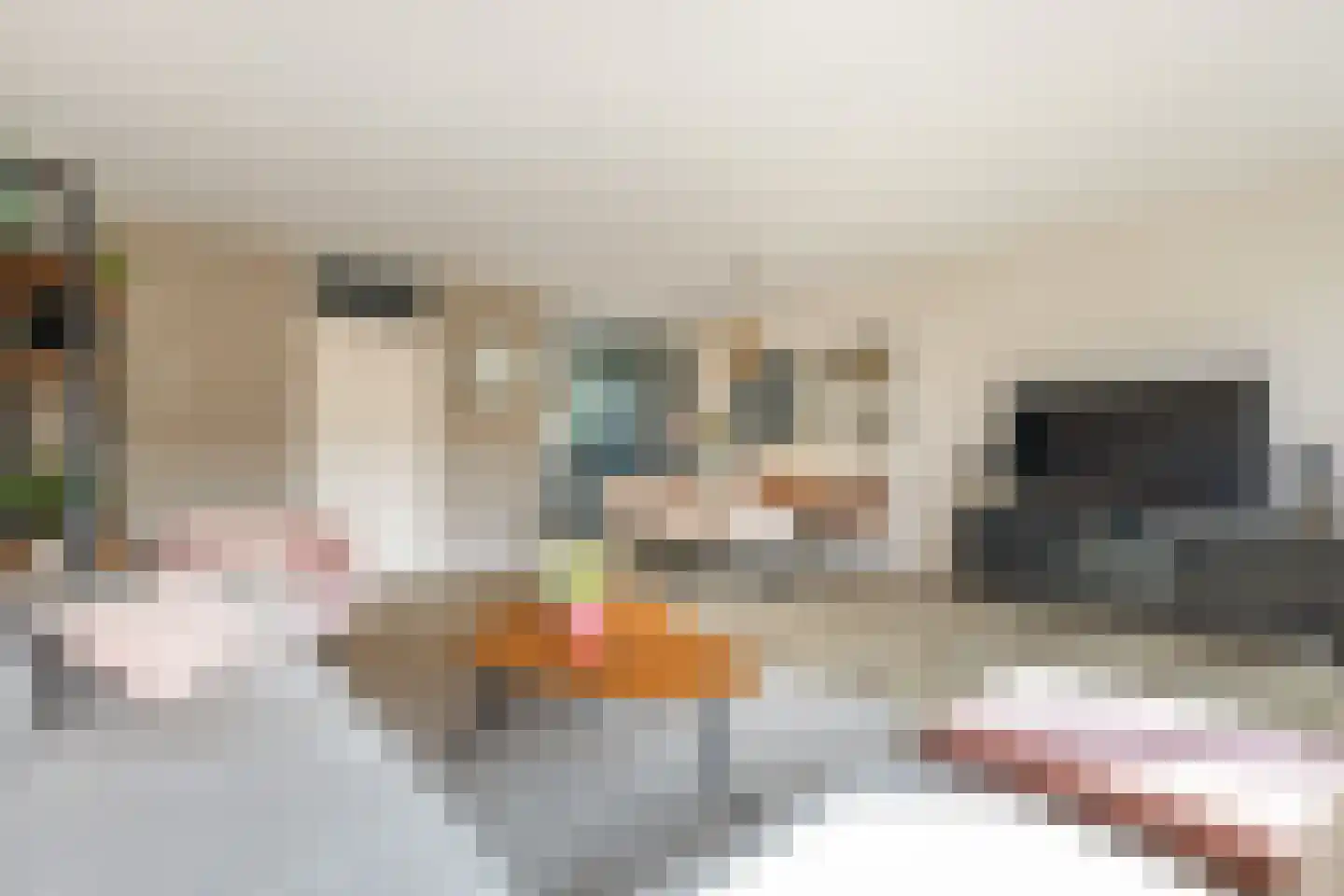 Amsterdamlaan 69 Woerden thumbnail 8