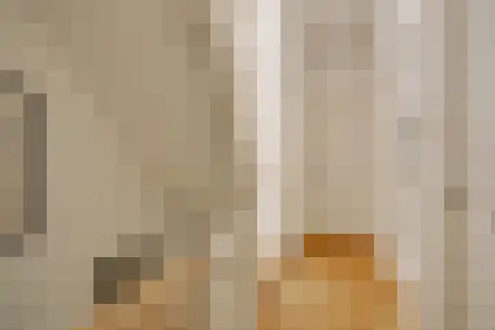 Amsterdamsestraat 15 Den Haag thumbnail 9