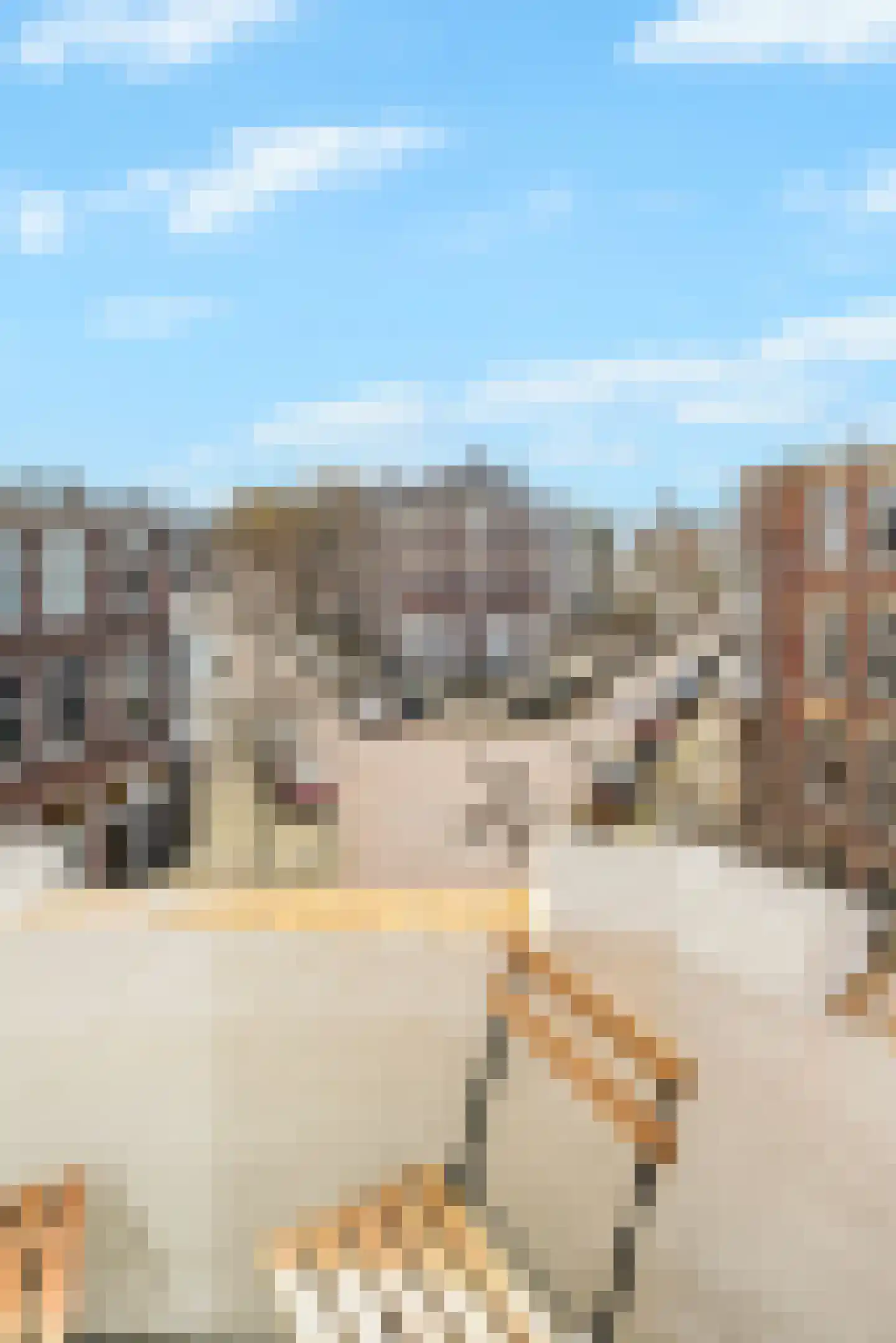 Amsterdamsestraat 39 Den Haag thumbnail 36