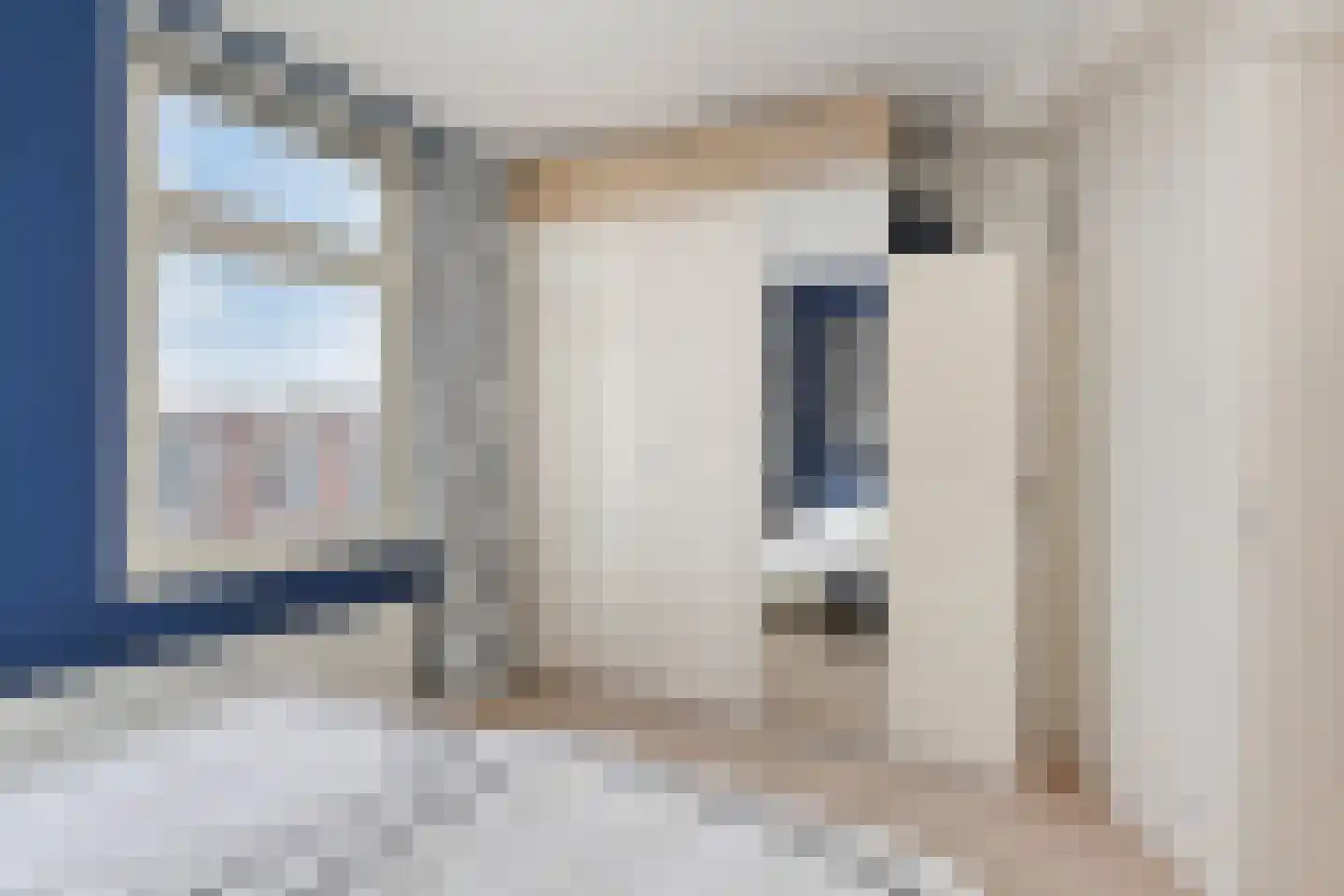 Amsterdamsestraat 39 Den Haag thumbnail 38