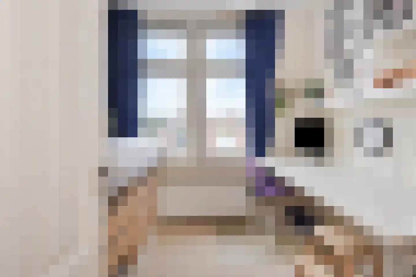 Amsterdamsestraat 39 Den Haag thumbnail 43