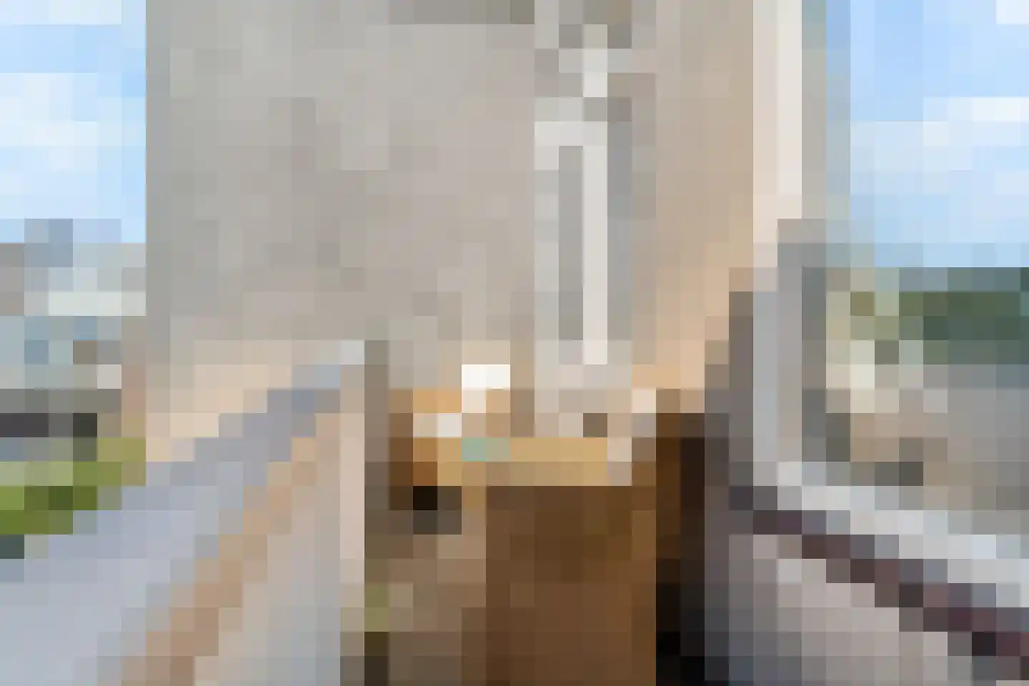 Amsterdamsestraat 5 Den Haag thumbnail 23