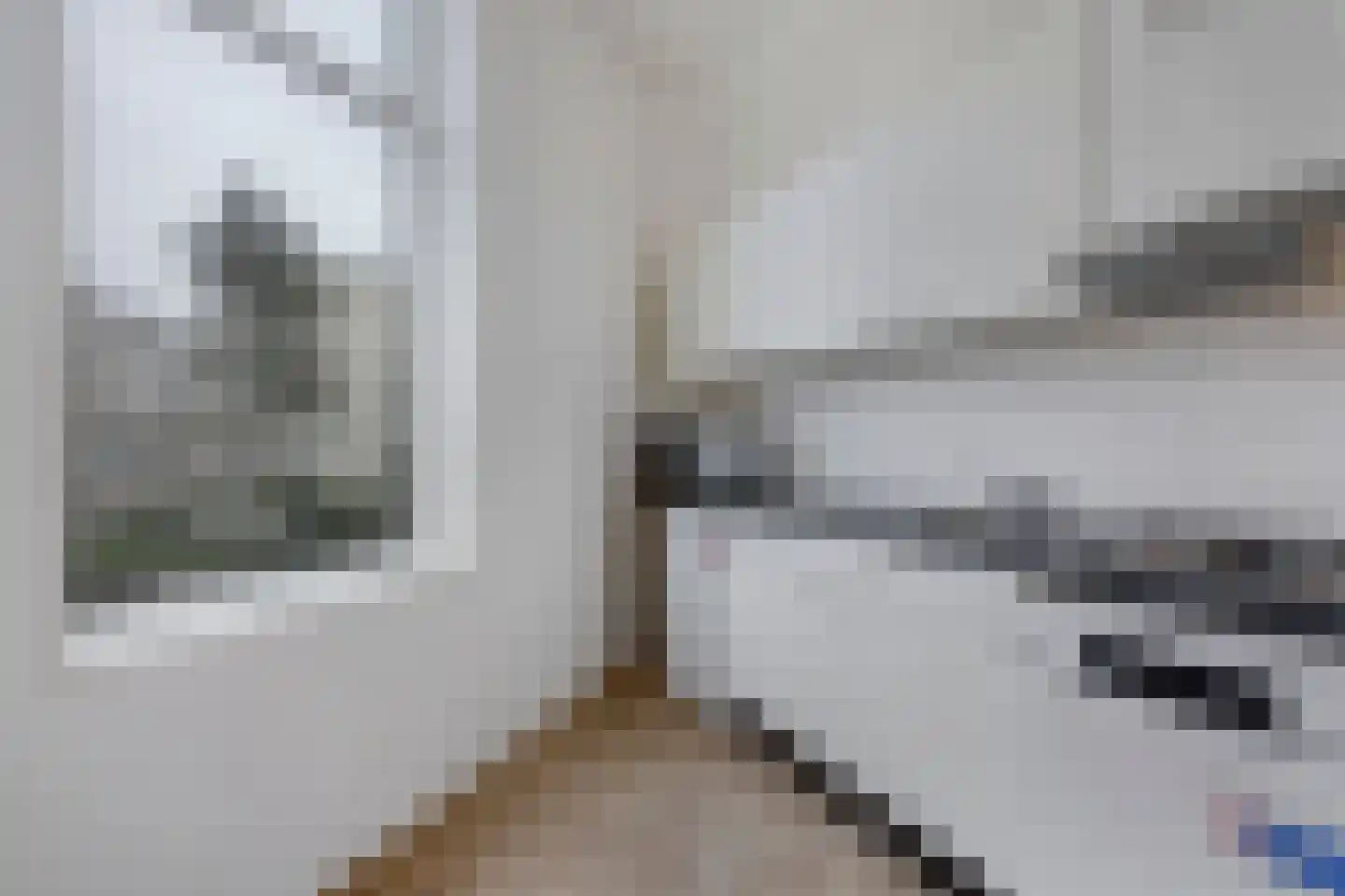 Amsterdamsestraat 61 Den Haag thumbnail 6