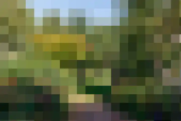 Amsterdamsestraatweg 10 Maarssen thumbnail 17