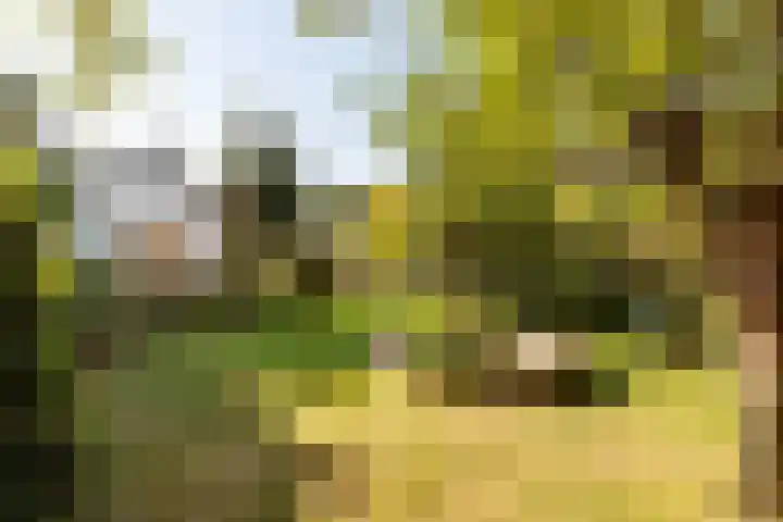 Amsterdamsestraatweg 10 Maarssen thumbnail 21