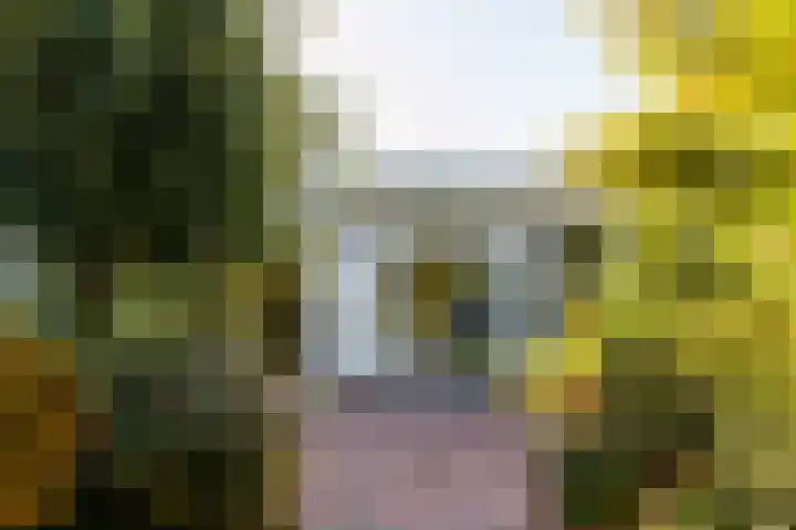 Amsterdamsestraatweg 10 Maarssen thumbnail 22