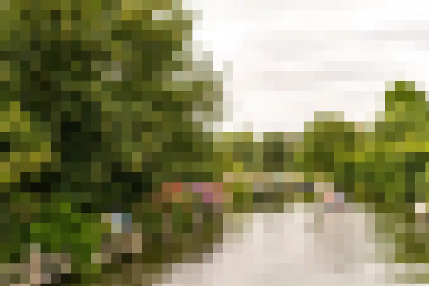 Amsterdamsestraatweg 106 Abcoude thumbnail 6