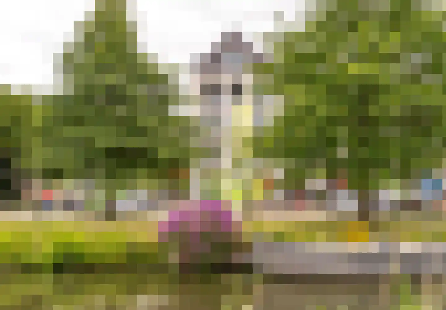 Amsterdamsestraatweg 106 Abcoude thumbnail 9